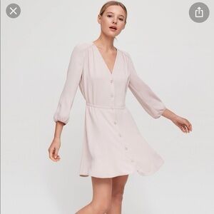 Aritzia Babaton Dress